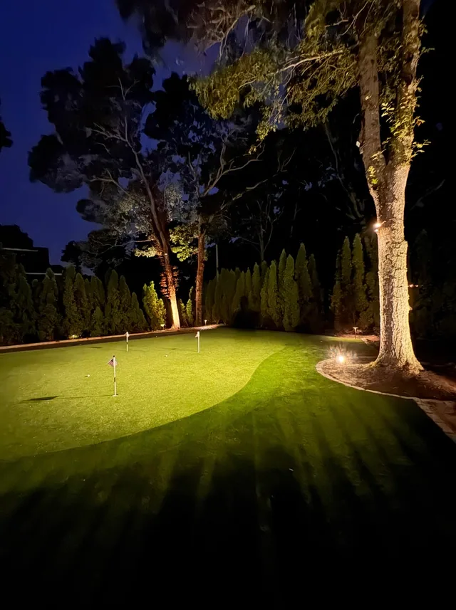 Backyard putting green at night with illuminated trees, downlighting and small flagsticks.